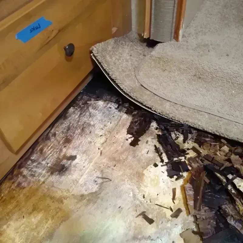 Best Wood Floor Water Damage Service in Gahanna, OH